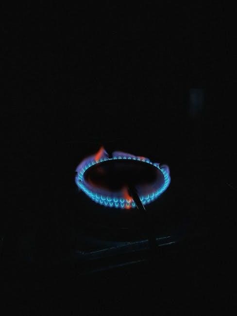 vermont castings radiance gas stove manual vermont castings radiance gas stove manual
