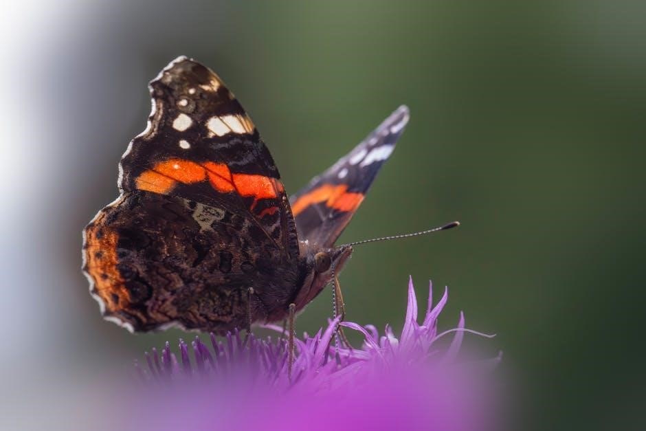 understanding abnormal behavior 12th edition pdf